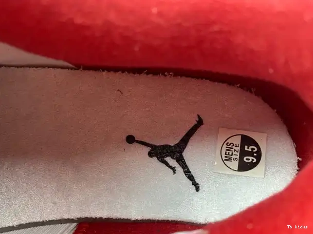 Rep TBK Alternate 4 Air 308497-106 Retro Jordan 89 0326